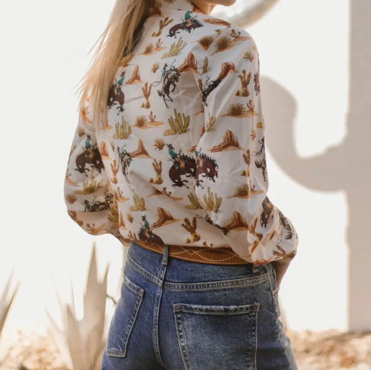 Rodeo Desert